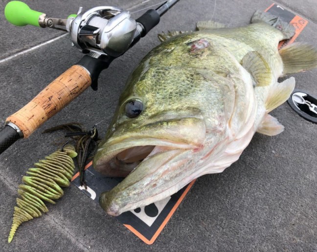 o1080085914263060594