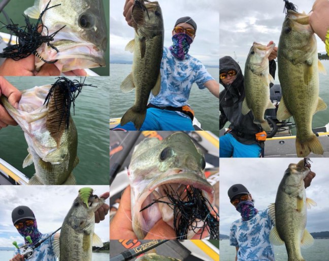 o1080086114263060598