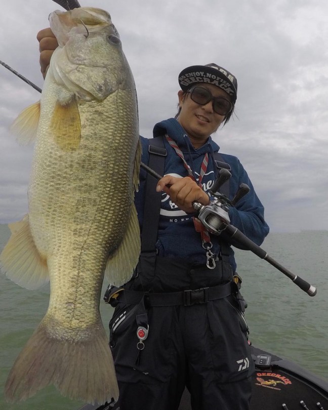 o1080135014263428334