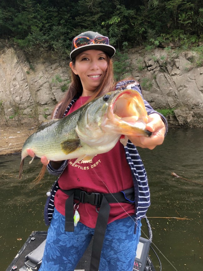 o1108147814257207794