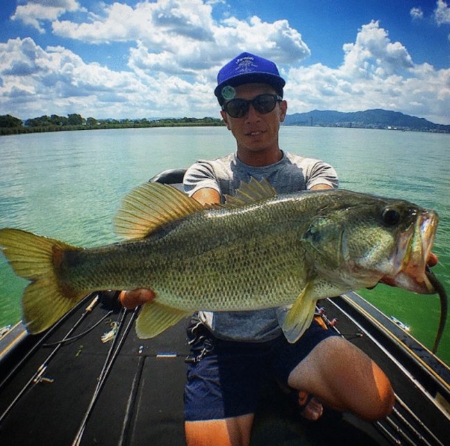 o1218120814257194008