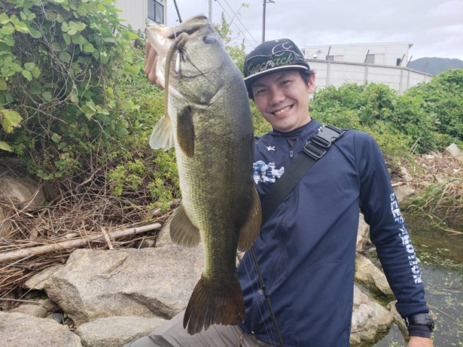 o1477110814257204615