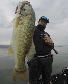 o0270033514284800136