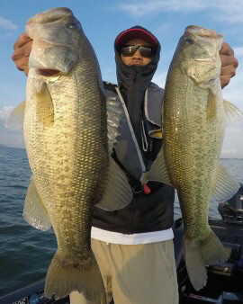 o0270033814284800168