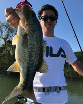 o0270033814288348109