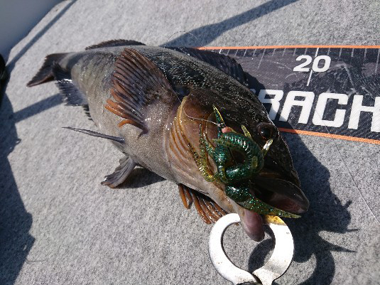 o0535040114293240247