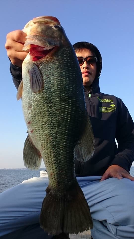 o0540096014288874862