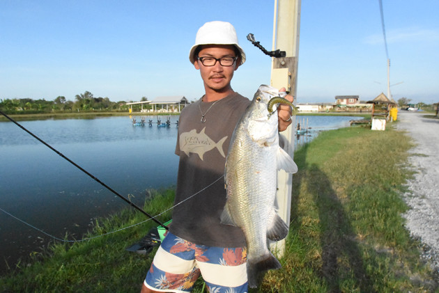 o0630042114271360639