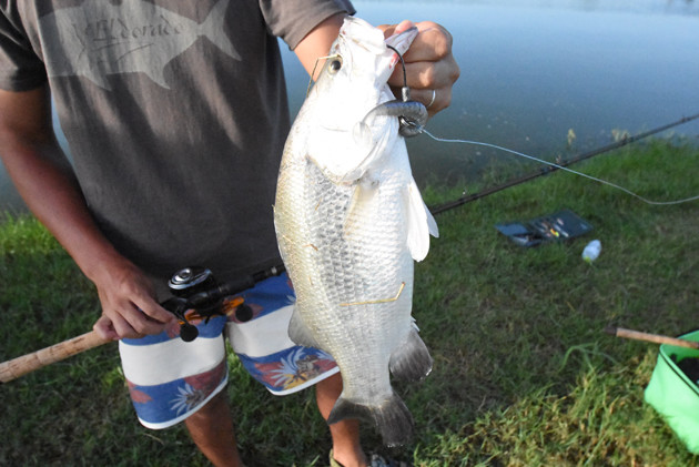 o0630042114271360657