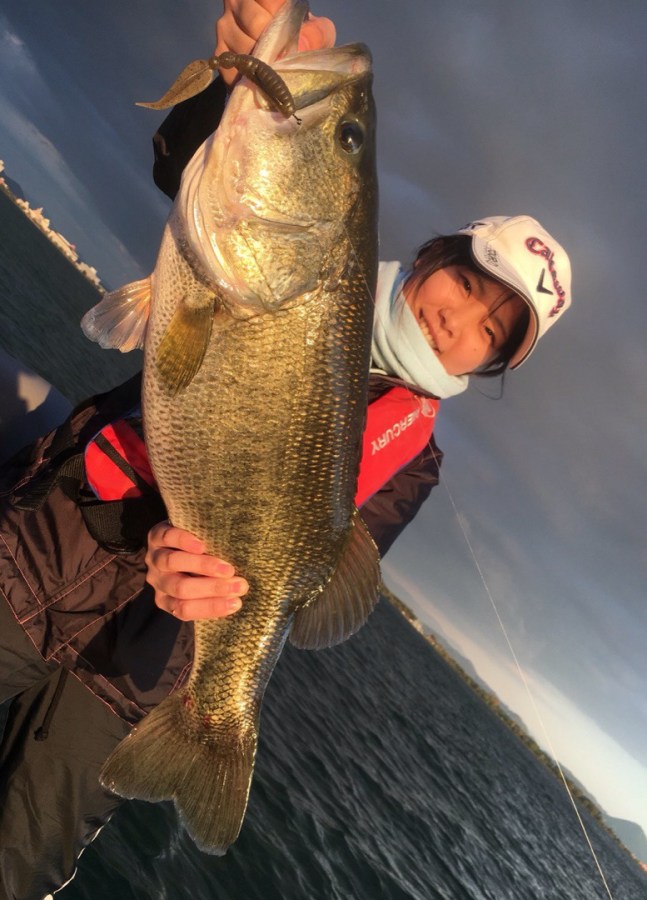 o0777108014293723184