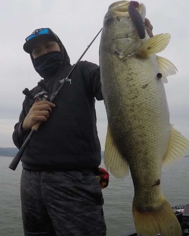 o0810101314284800159