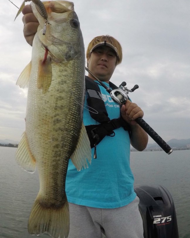 o0863108014281715786