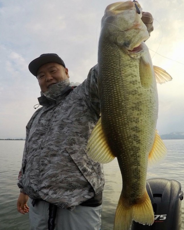 o0863108014281715790