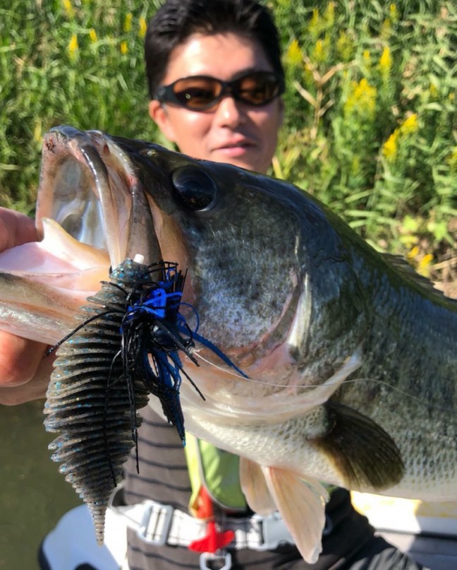 o0866108014288348042