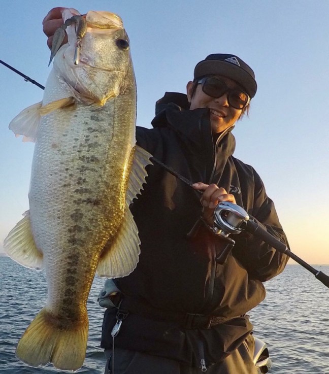 o0949108014290856318