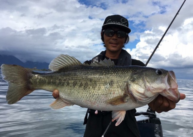 o0960068214279083188