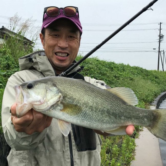 o1080108014273674815