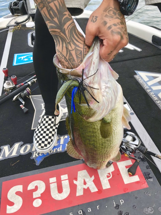 o1108147814283352137