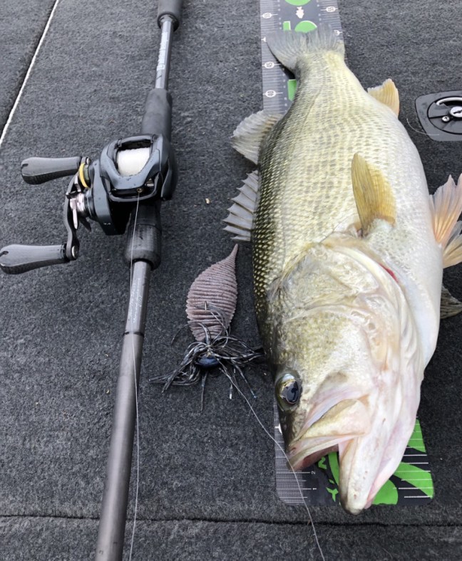 o1160141214283353379