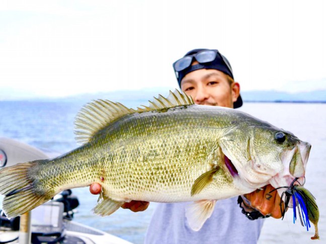 o1477110914283352114