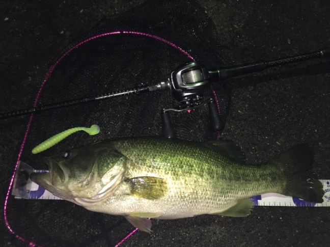 o1478110814283354480