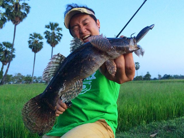 46519502_2179112155676472_6253999684700864512_n