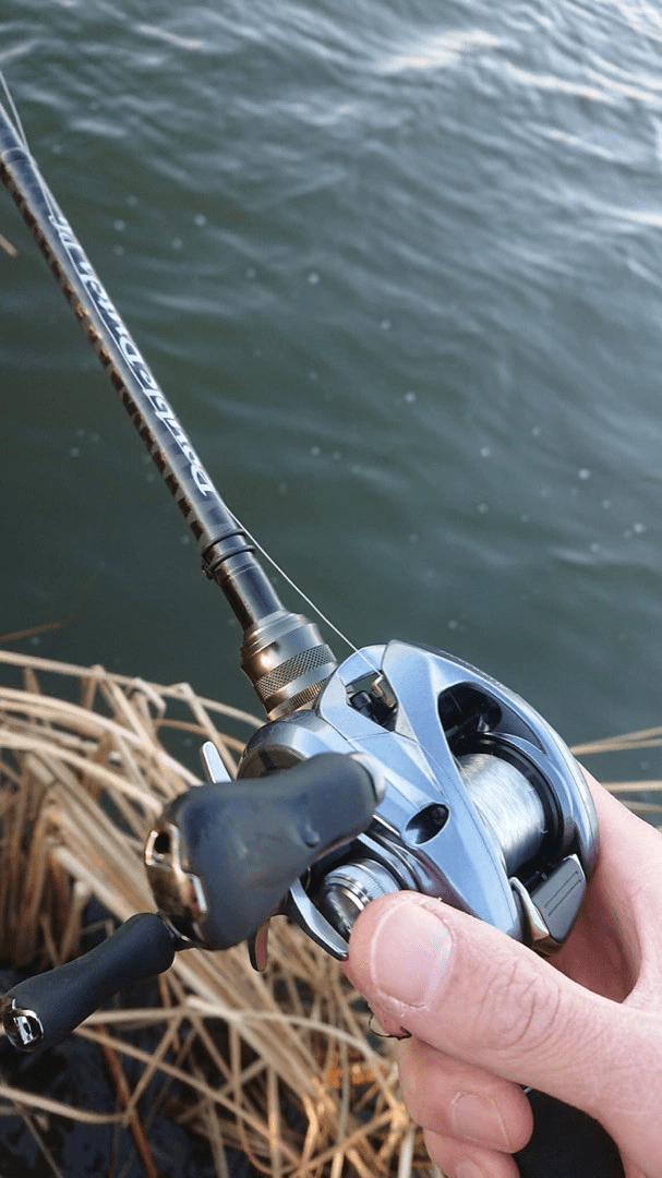 o0607108014306938416