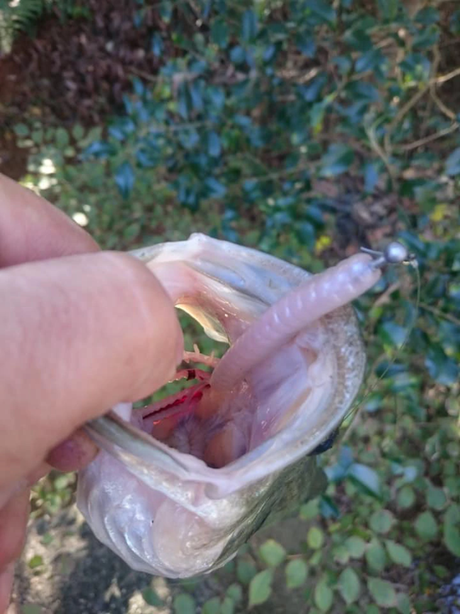 o0720096014303027970