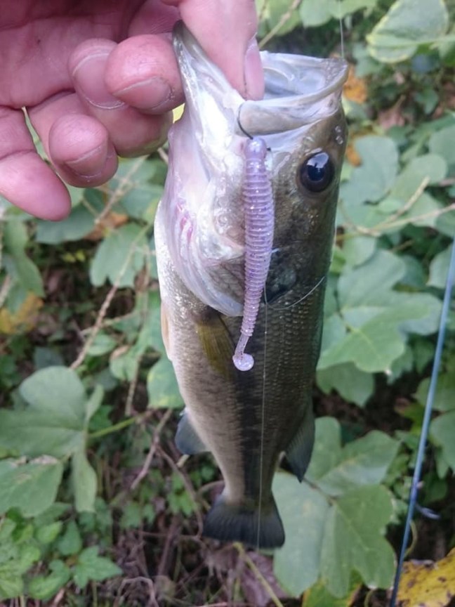 o0720096014303027974