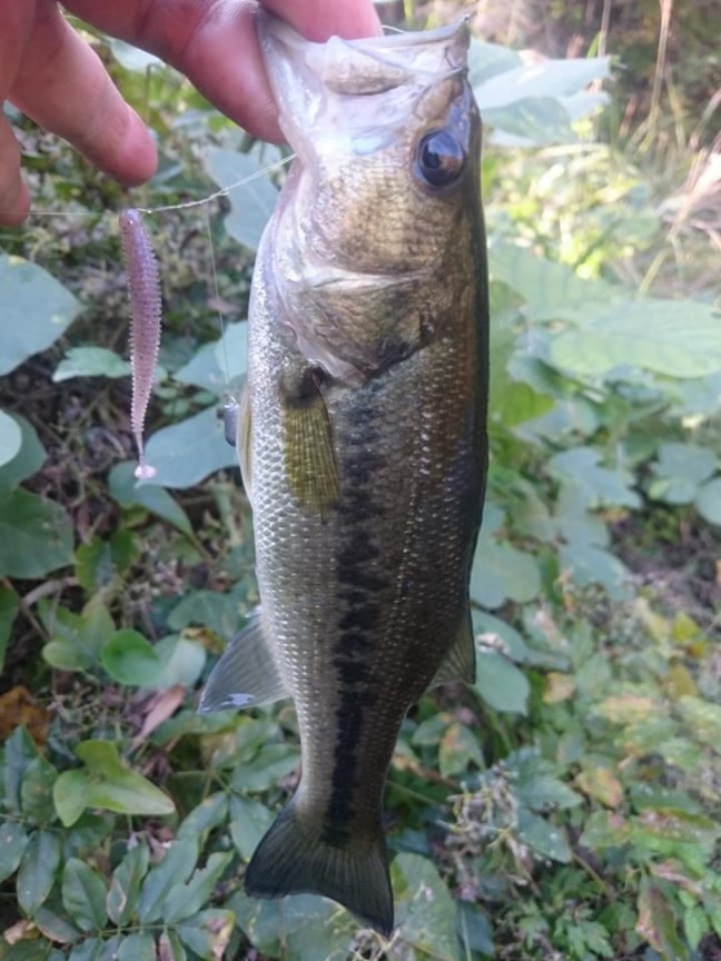 o0720096014303027978