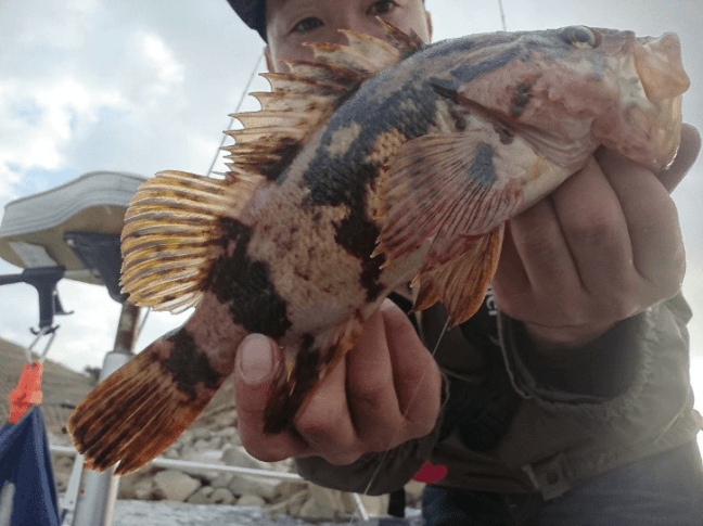 o0724054314303056350