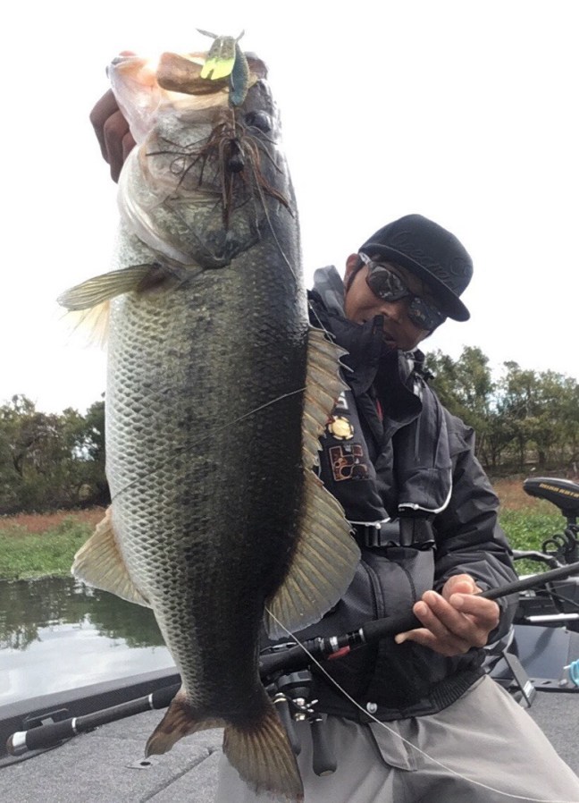 o0779108014295707154