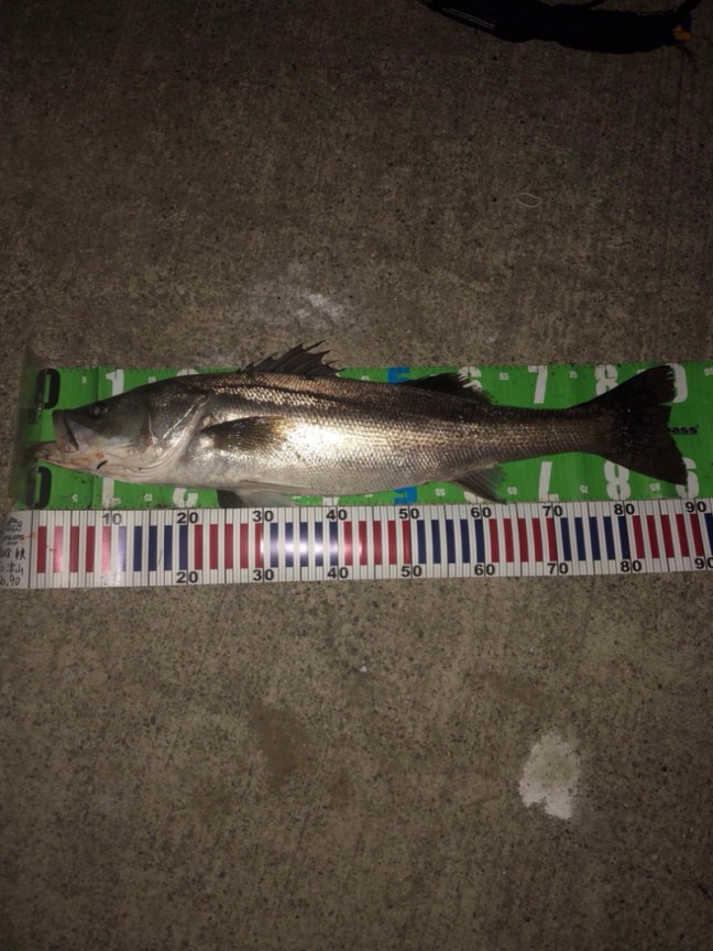 o0809108014301732912