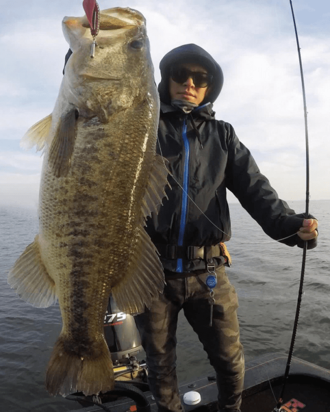 o0810101314310364025