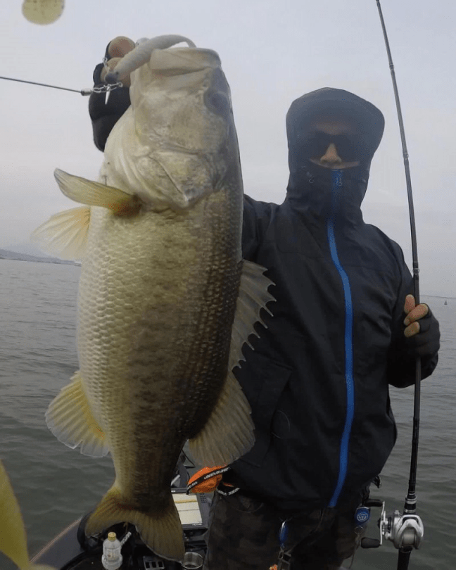 o0810101314310364040