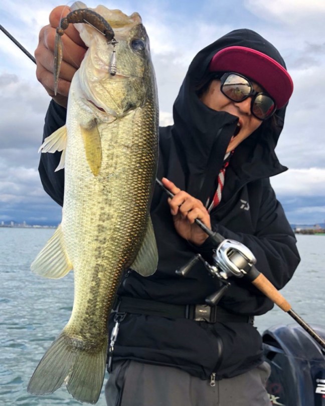 o0863108014294562621