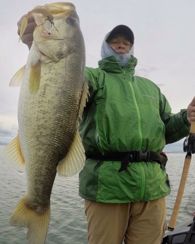 o0863108014294562717