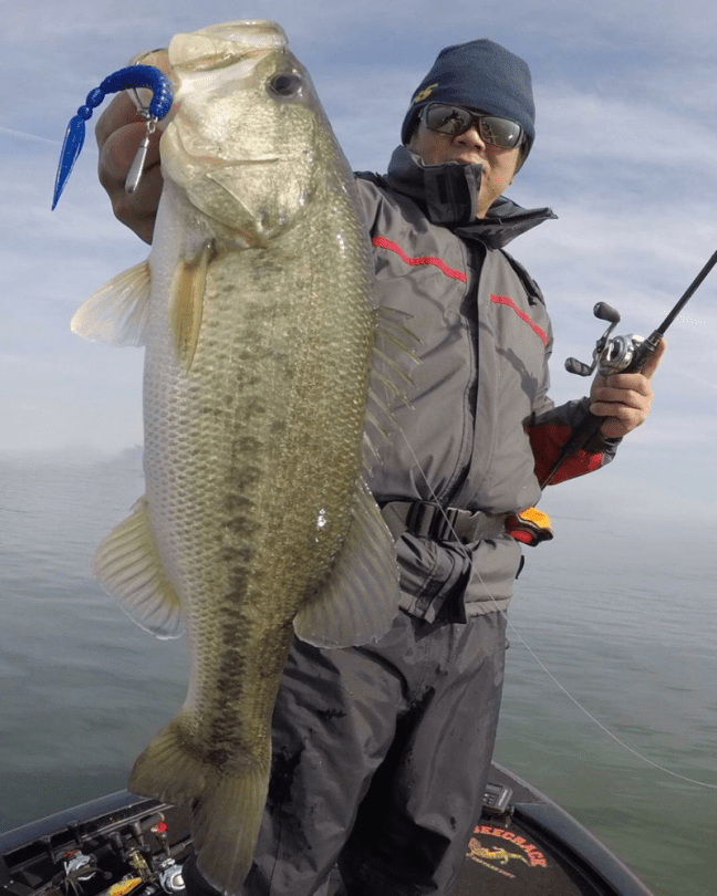 o0863108014304298005