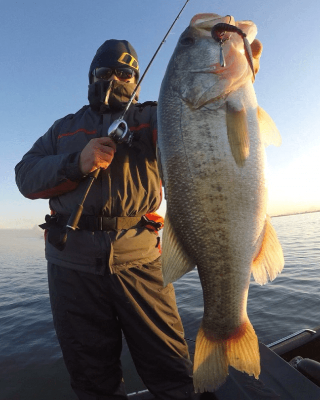 o0863108014304298019