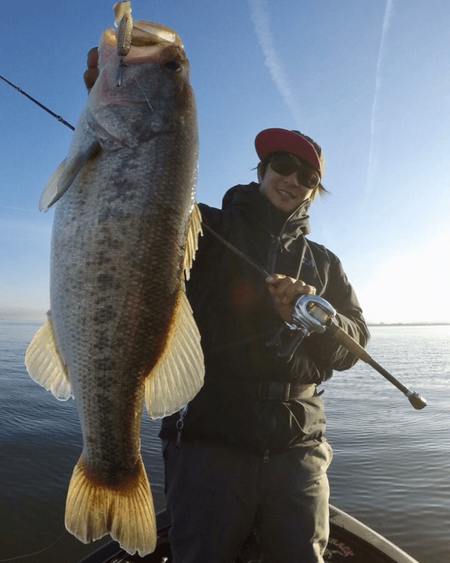 o0863108014304298034