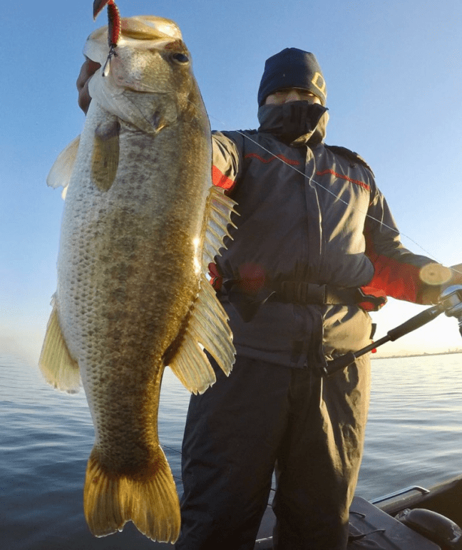 o0905108014304297986