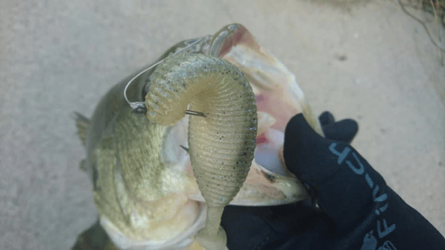 o0960054014309553283