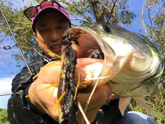 o0960072014302947806