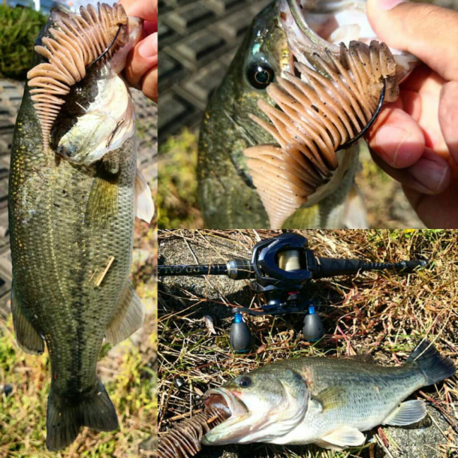 o1028102814309550331