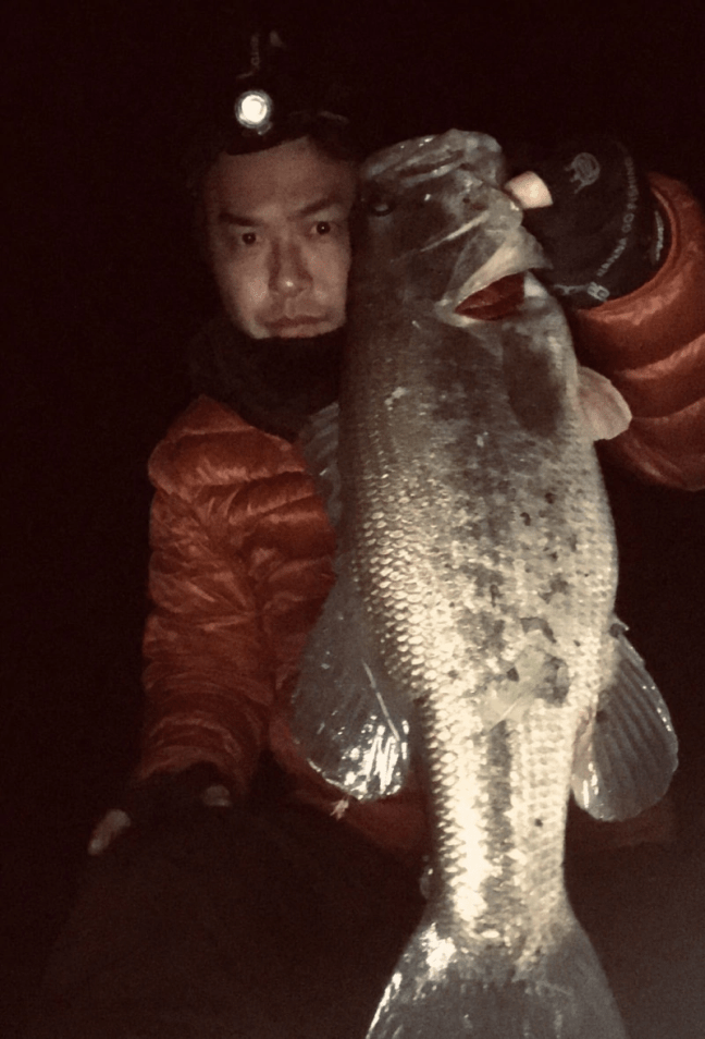 o1054155414309554932