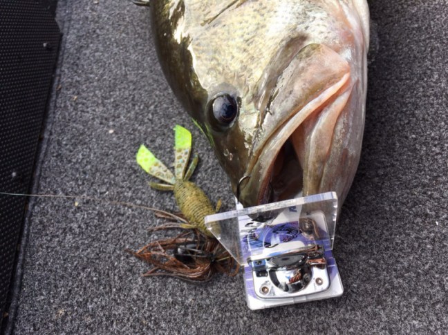 o1080080914295707175