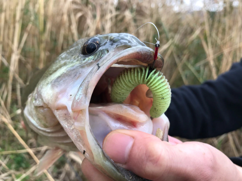 o1080080914302512466