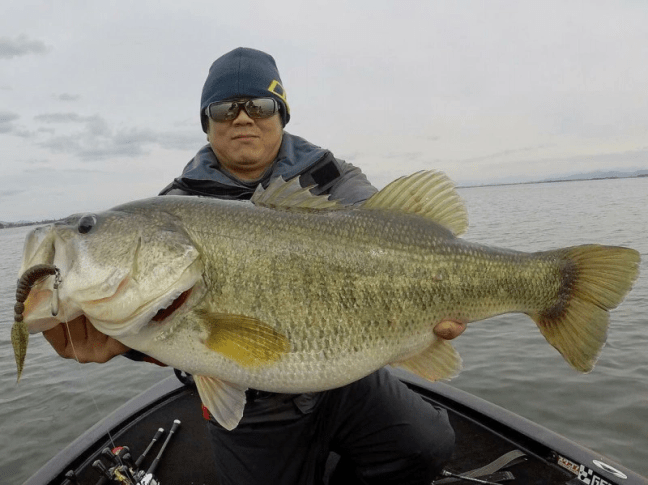 o1080080914304297966