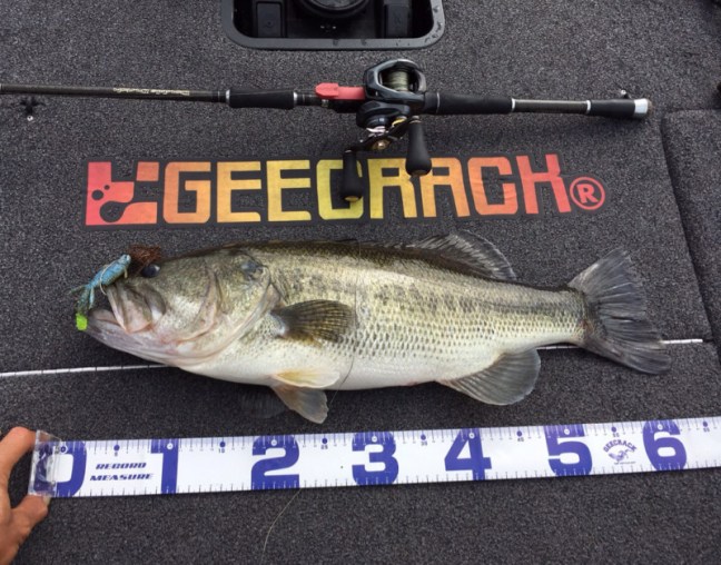 o1080084814295707162