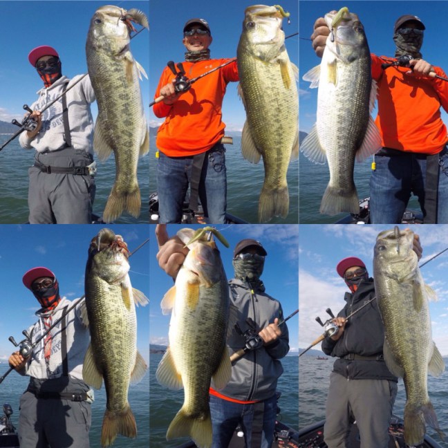 o1080108014296365728